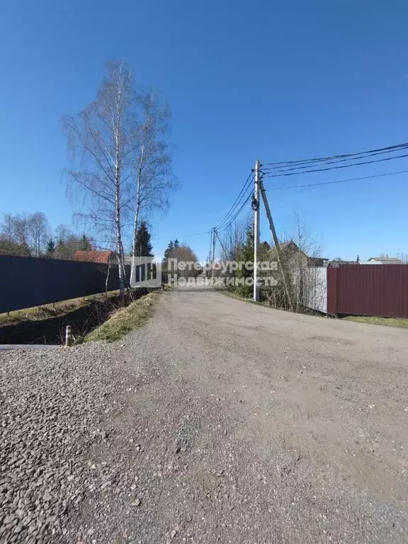 Участок в Ленинградская область, Гатчинский муниципальный округ, Учхоз ... - Фото 1
