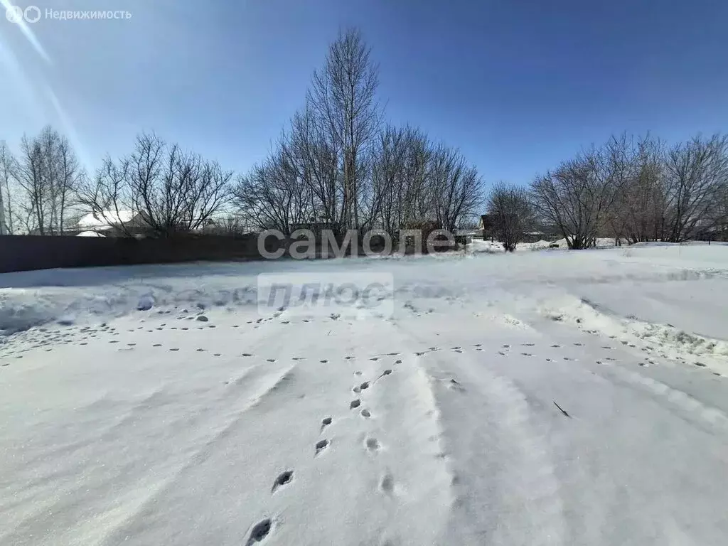 Участок в Алтайский край, городской округ Бийск, посёлок Нагорный (6.5 ... - Фото 2