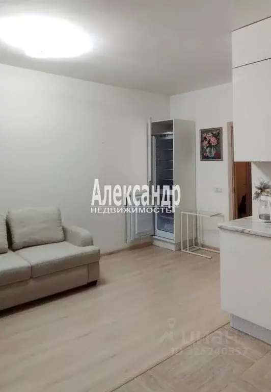 Студия Ленинградская область, Всеволожский район, пос. Бугры бул. ... - Фото 2