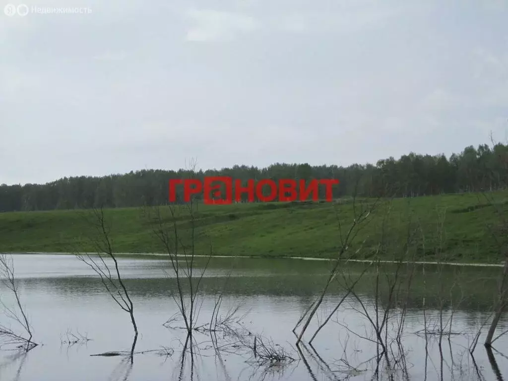 Участок в Мошковский район, село Локти, Советская улица, 2/5 (1800 м) - Фото 1