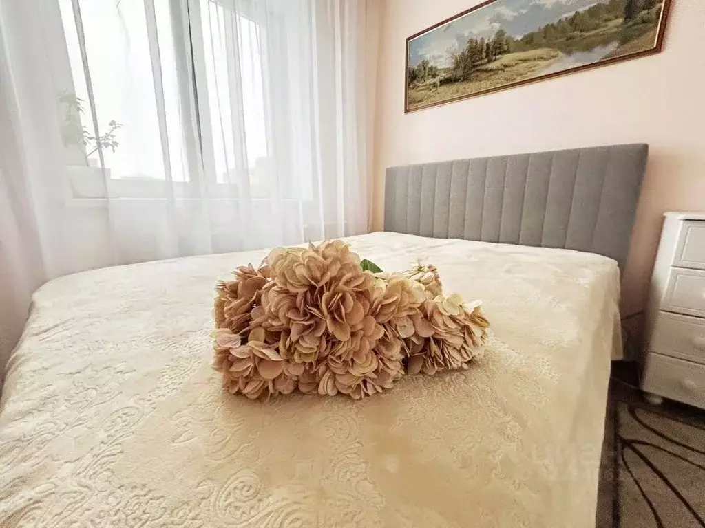 1-к кв. Санкт-Петербург пос. Парголово, ул. Шишкина, 307 (38.4 м) - Фото 1