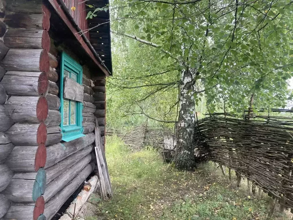 Дом в Костромская область, Костромской район, Шунгенское с/пос, Водник ... - Фото 1