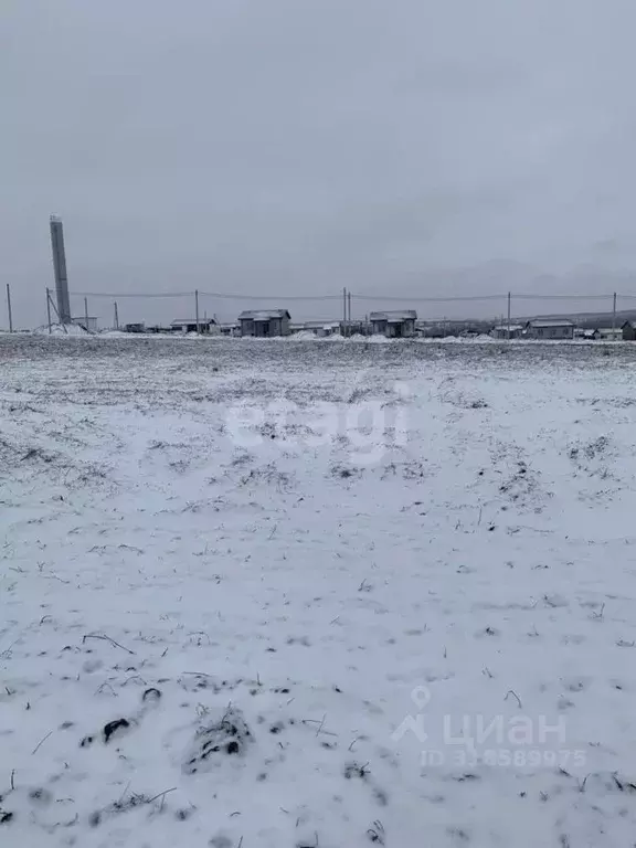 Участок в Белгородская область, Белгородский район, Головинское с/пос, ... - Фото 0