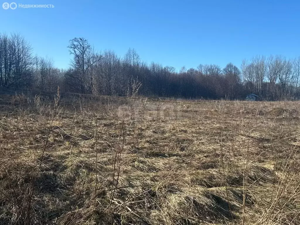 Участок в посёлок Заозерье, Лесная улица (10 м) - Фото 1