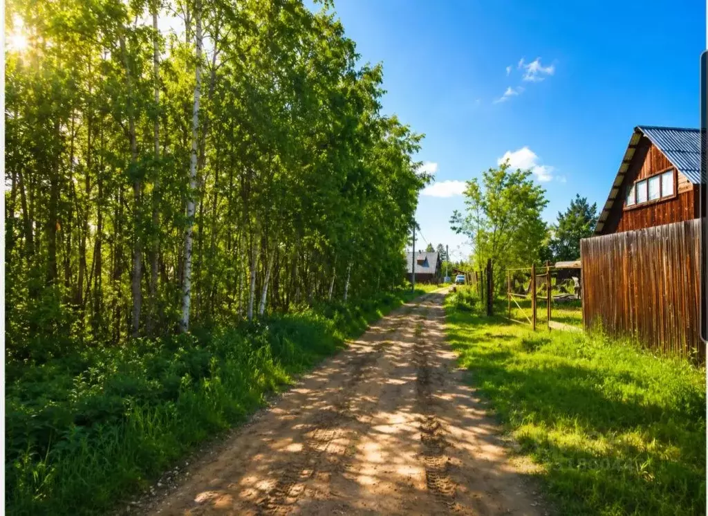 Участок в Иркутская область, Иркутский муниципальный округ, Флора СНТ ... - Фото 1