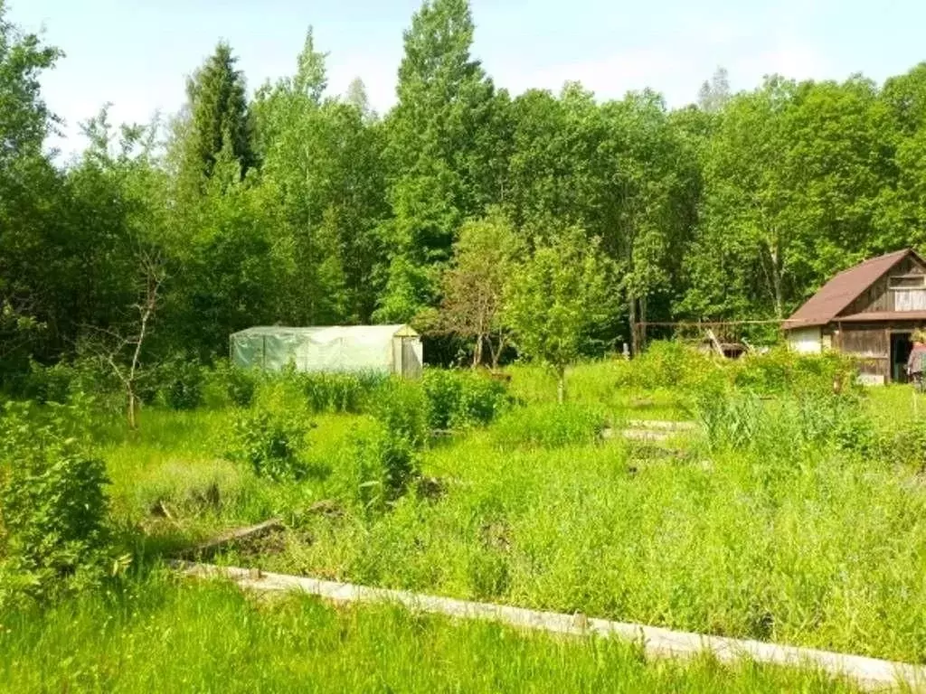 Дом в Новгородская область, Новгородский район, Ермолинское с/пос, ... - Фото 1