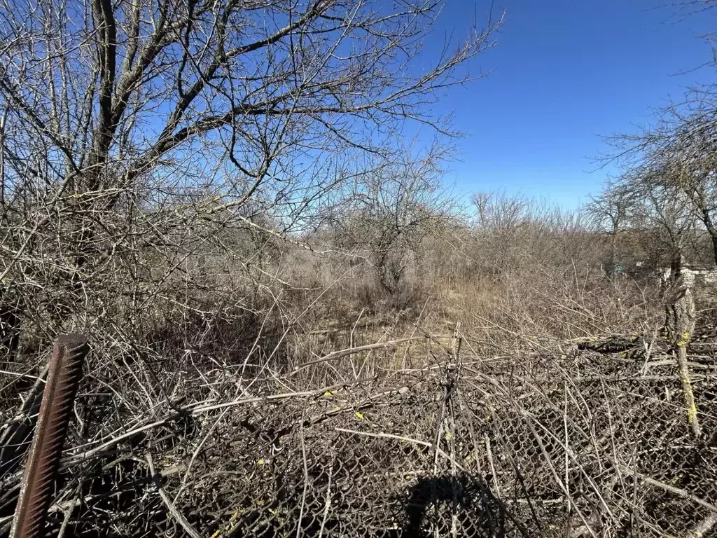 Дом в Белгородская область, Белгородский район, Беломестненское с/пос, ... - Фото 2