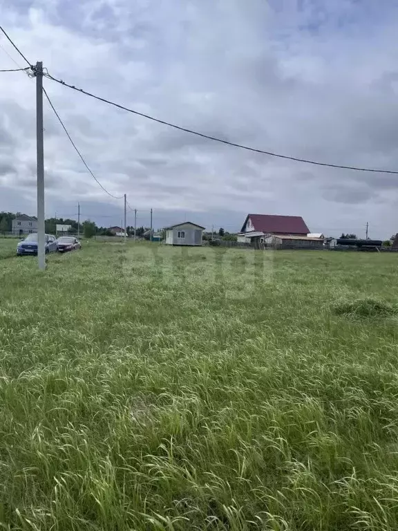 Участок в Омская область, Омский район, Богословское с/пос, с. ... - Фото 1