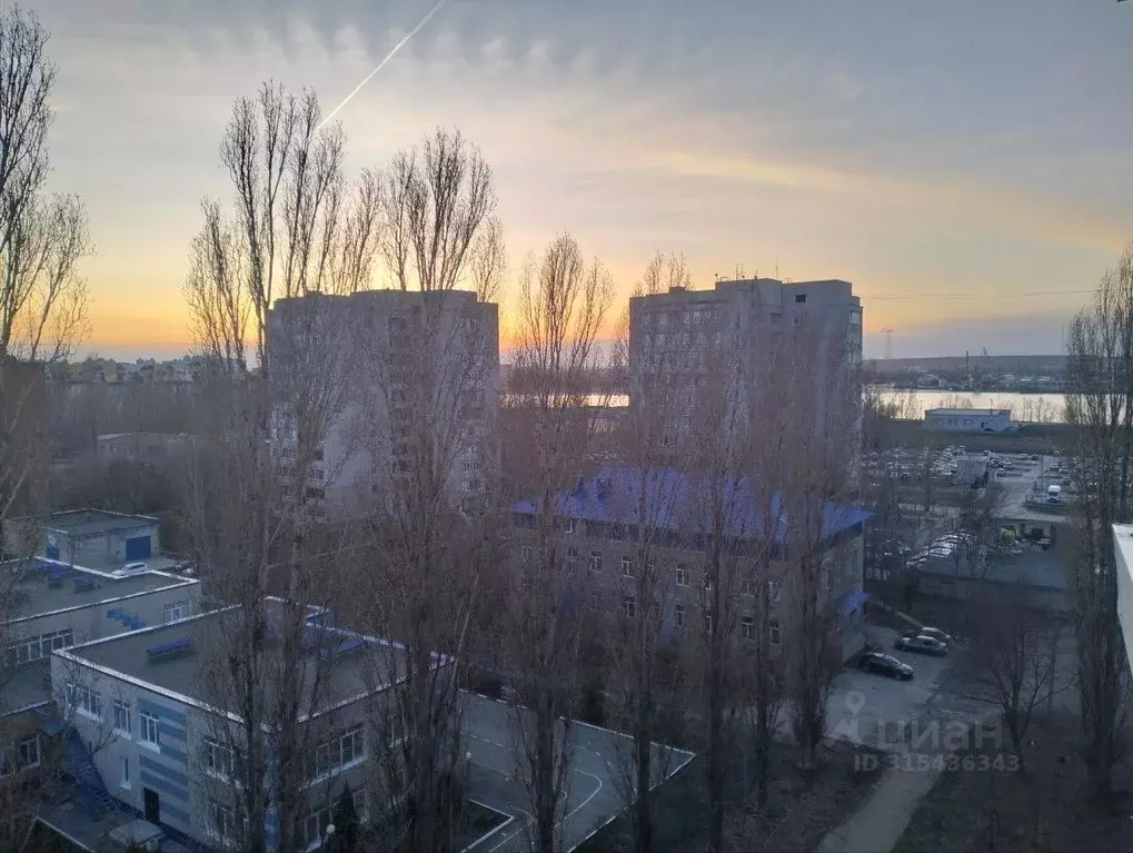 1-к кв. Саратовская область, Балаково ул. Набережная Леонова, 61 (38.0 ... - Фото 1