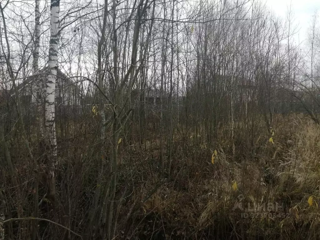 Участок в Московская область, Куровское Орехово-Зуевский городской ... - Фото 1