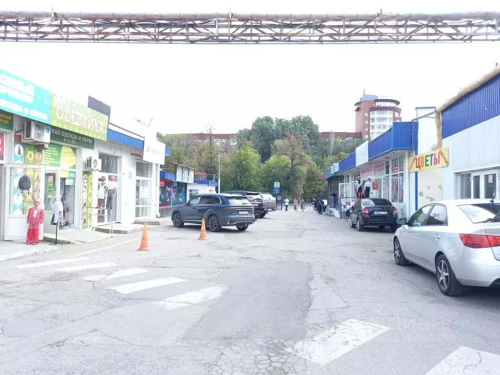 Торговая площадь в Саратовская область, Саратов Астраханская ул., 103 ... - Фото 2