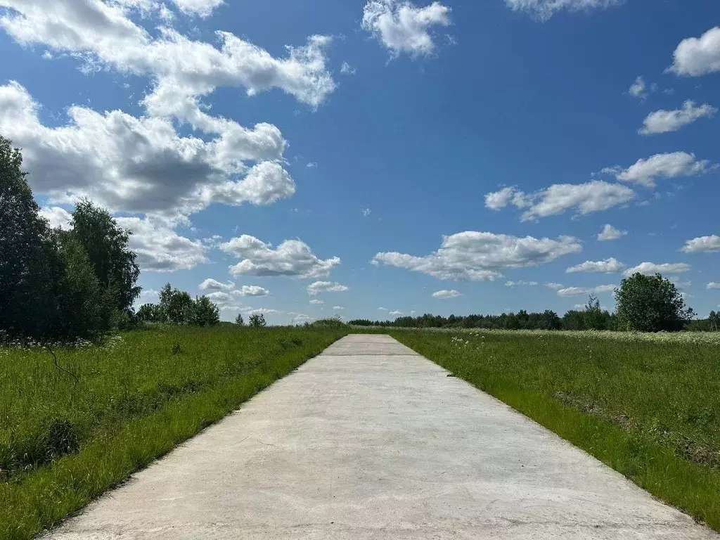 Участок в Владимирская область, Александровский муниципальный округ, ... - Фото 1
