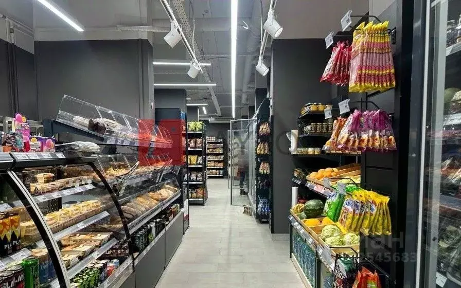 Помещение свободного назначения в Московская область, Мытищи просп. ... - Фото 1