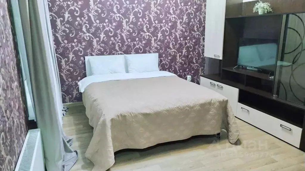 Студия Красноярский край, Красноярск ул. Алексеева, 46 (30.0 м) - Фото 1