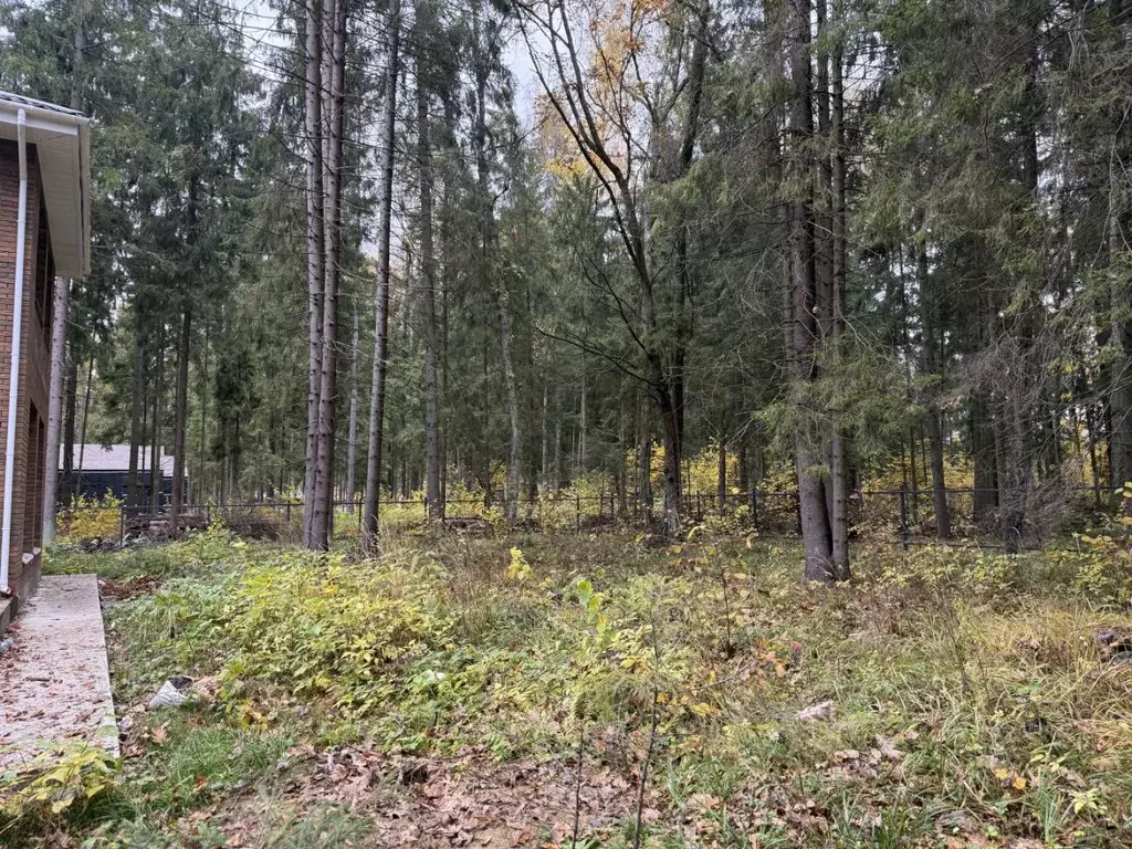 Дом в Московская область, Пушкинский городской округ, д. Могильцы, ... - Фото 1