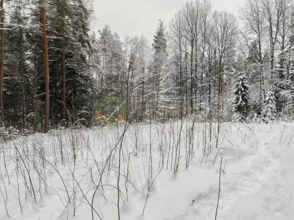 Участок в Выборгский район, Первомайское сельское поселение, посёлок ... - Фото 2