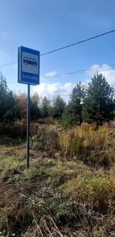 Участок в Владимирская область, Суздальский район, Боголюбовское ... - Фото 0