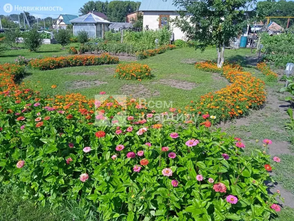 Участок в Искитимский район, городское поселение Линёво, рабочий ... - Фото 0