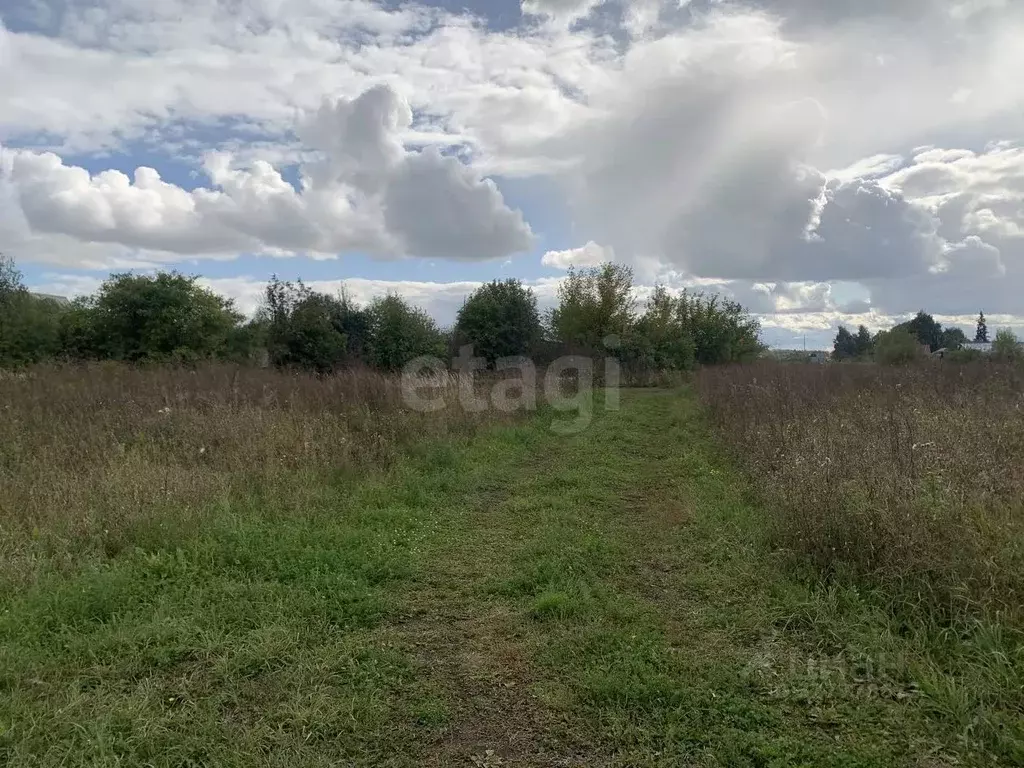 Участок в Мордовия, Кочкуровский район, с. Мурань ул. Молодежная (29.0 ... - Фото 2
