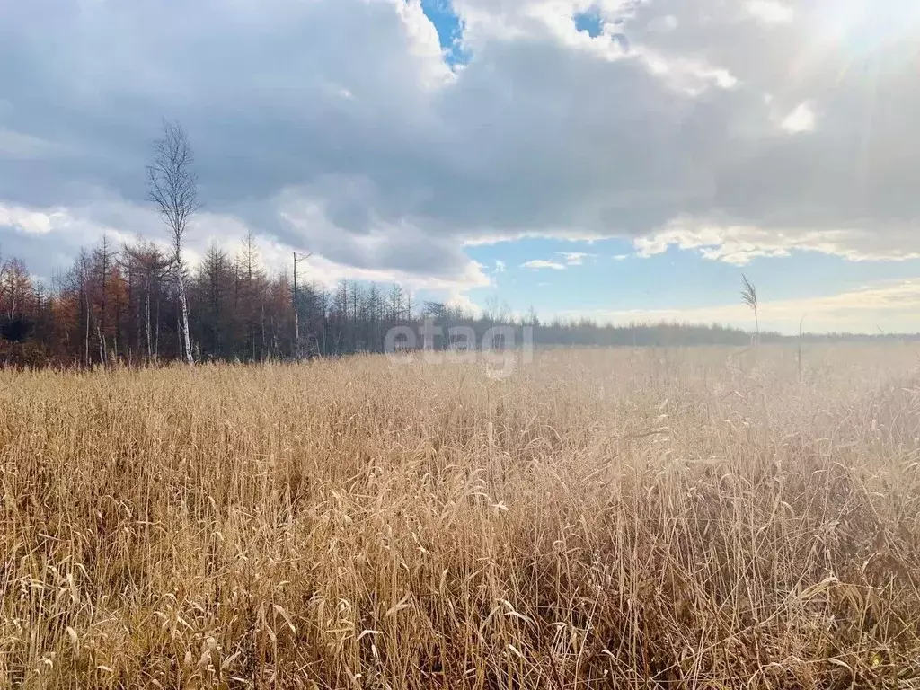 Участок в Сахалинская область, Невельский городской округ, с. Ватутино ... - Фото 0