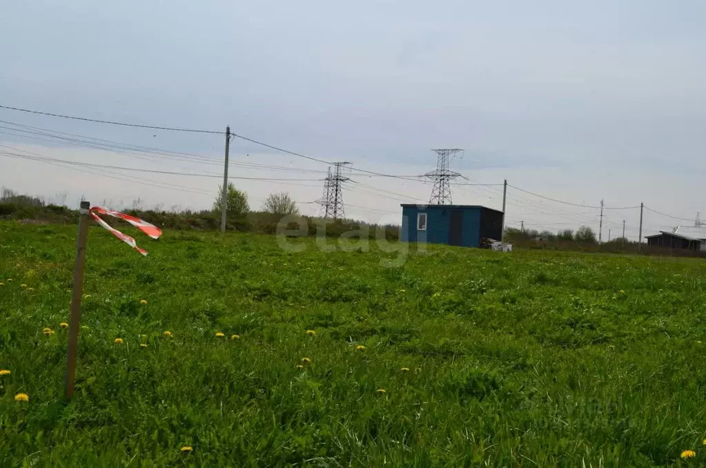 Участок в Ленинградская область, Ломоносовский район, Виллозское ... - Фото 1