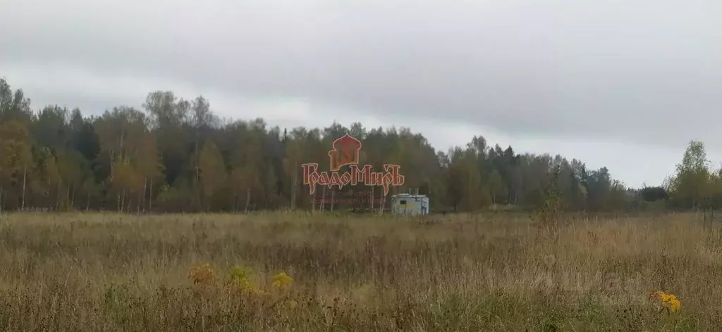 Участок в Московская область, Дмитровский городской округ, с. ... - Фото 1