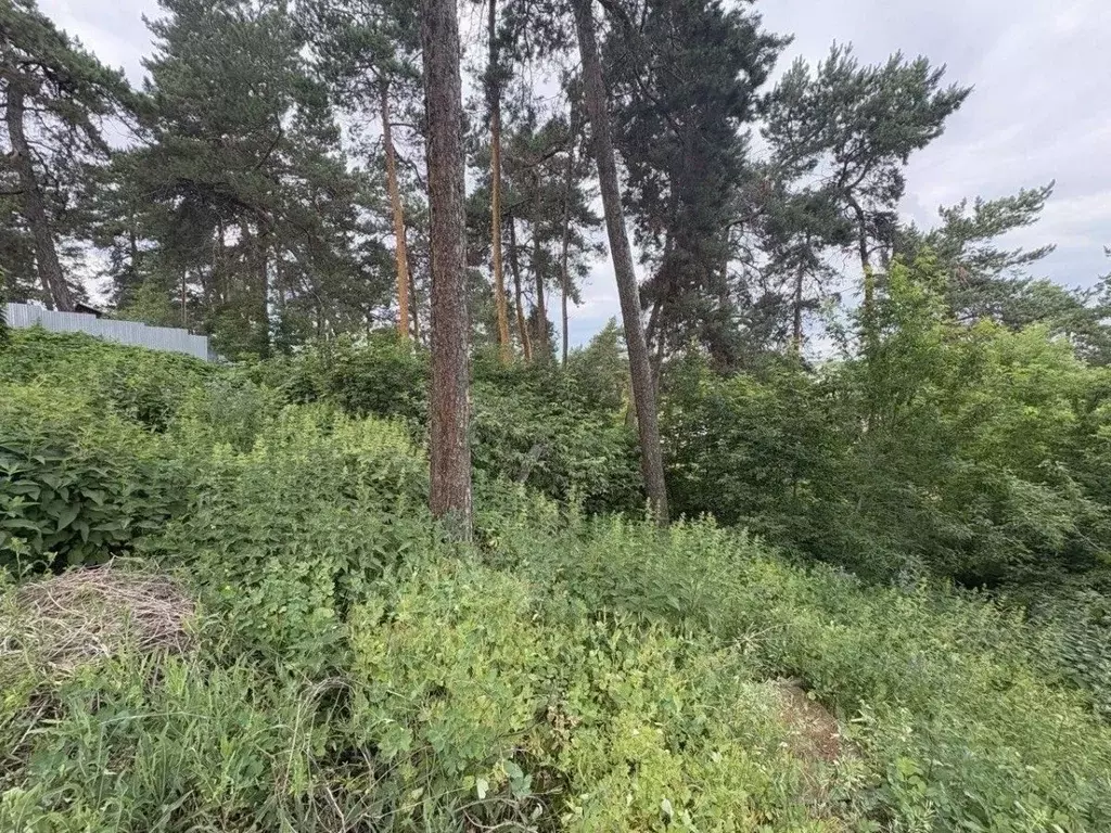 Участок в Самарская область, Красноярский район, Новый Буян с/пос, с. ... - Фото 2