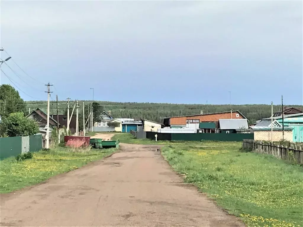 Участок в Татарстан, Лаишевский район, с. Державино Агайбашская ул., 2 ... - Фото 0