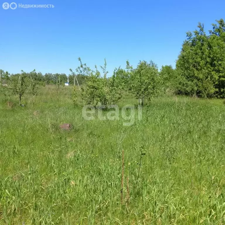 Участок в Щёкинский район, муниципальное образование Лазаревское, село ... - Фото 1