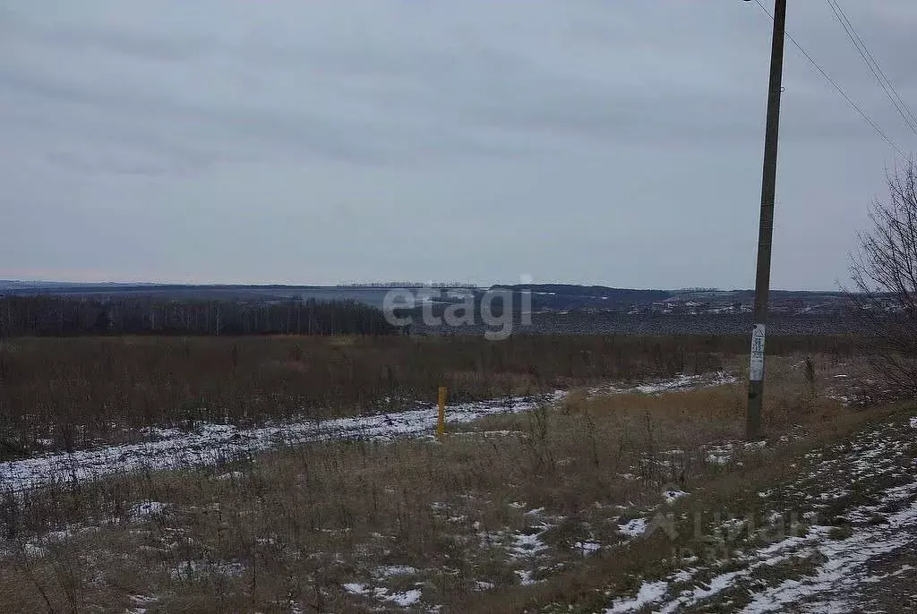 Участок в Новосибирская область, Новосибирский район, Кудряшовский ... - Фото 1