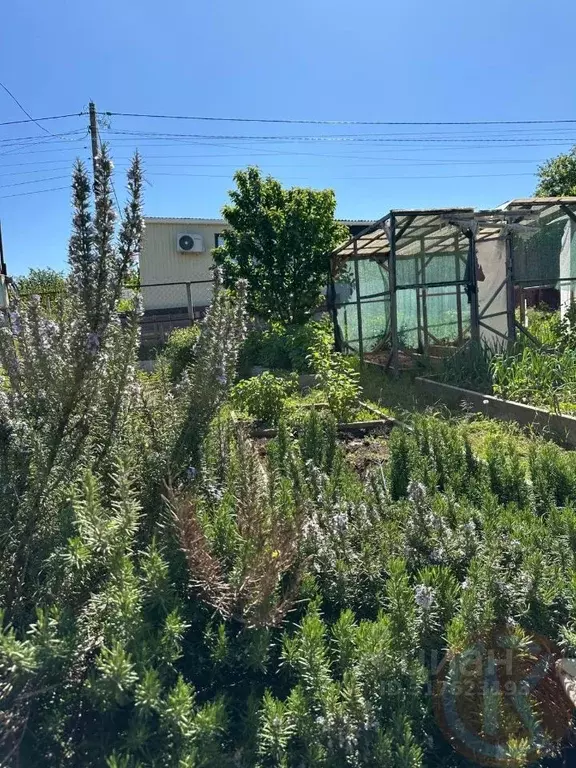 Участок в Крым, Симферопольский район, Мирновское с/пос, Полет СОТ ... - Фото 1