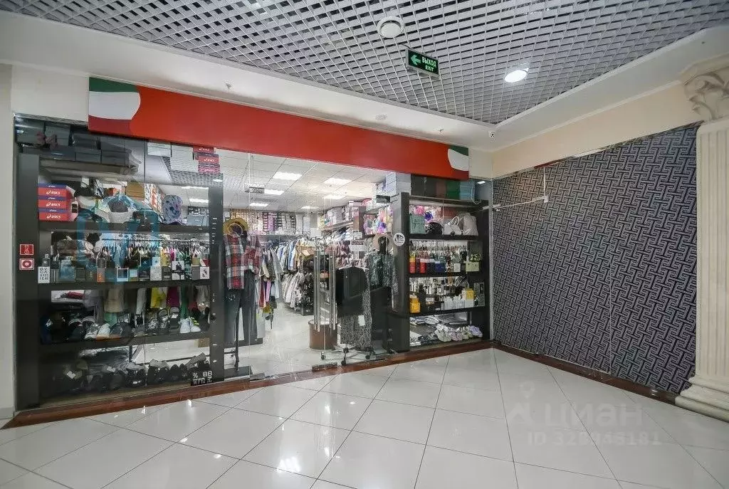 Помещение свободного назначения в Омская область, Омск ул. Фрунзе, 1к4 ... - Фото 2