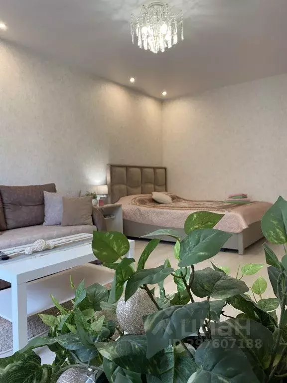 1-к кв. Калининградская область, Калининград Белгородская ул., 5 (41.0 ... - Фото 2