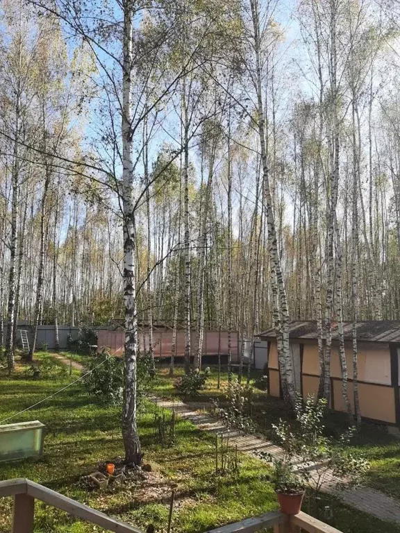 Дом в Калужская область, Калуга городской округ, д. Юрьевка  (67 м) - Фото 2