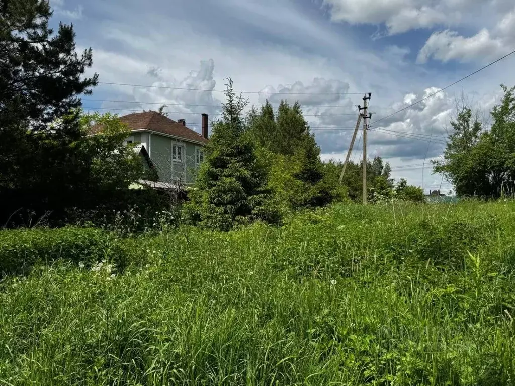 Участок в Московская область, Дмитровский муниципальный округ, с. ... - Фото 2