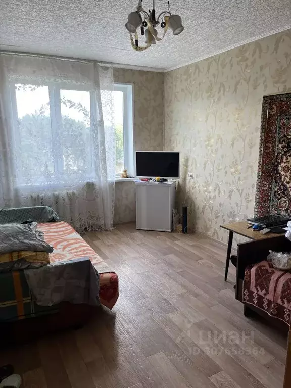 1-к кв. Нижегородская область, Володарск Северная ул., 3 (30.5 м) - Фото 0