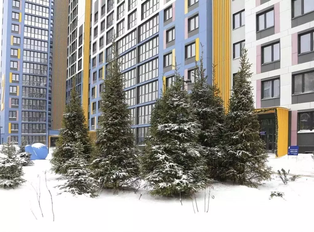 1-к кв. Брянская область, Брянск ул. Имени О.С. Визнюка, 18 (51.1 м) - Фото 2