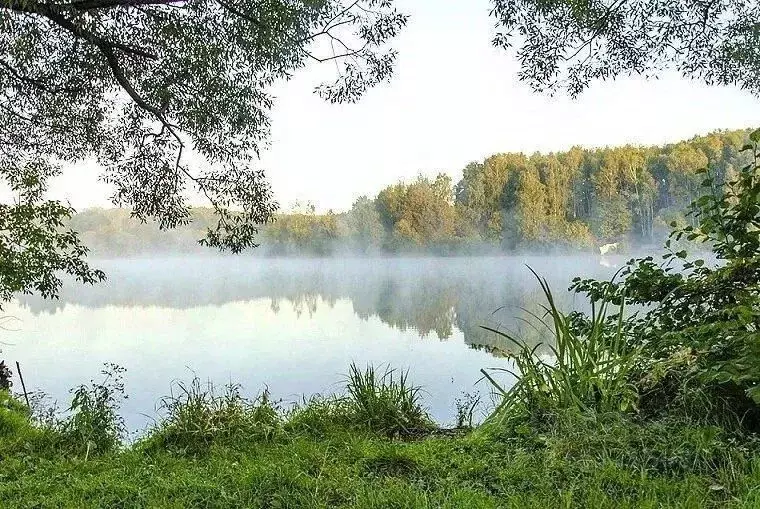 Участок в Московская область, Серпухов городской округ, Ящерицын Посад ... - Фото 0