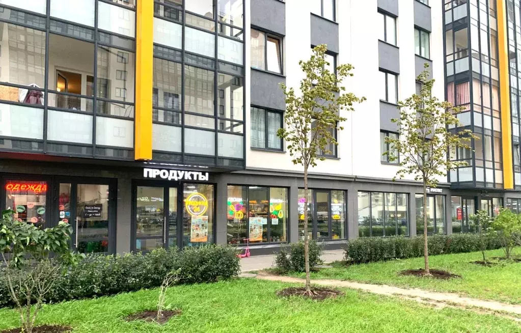 Студия Санкт-Петербург просп. Ветеранов, 179 (24.2 м) - Фото 2