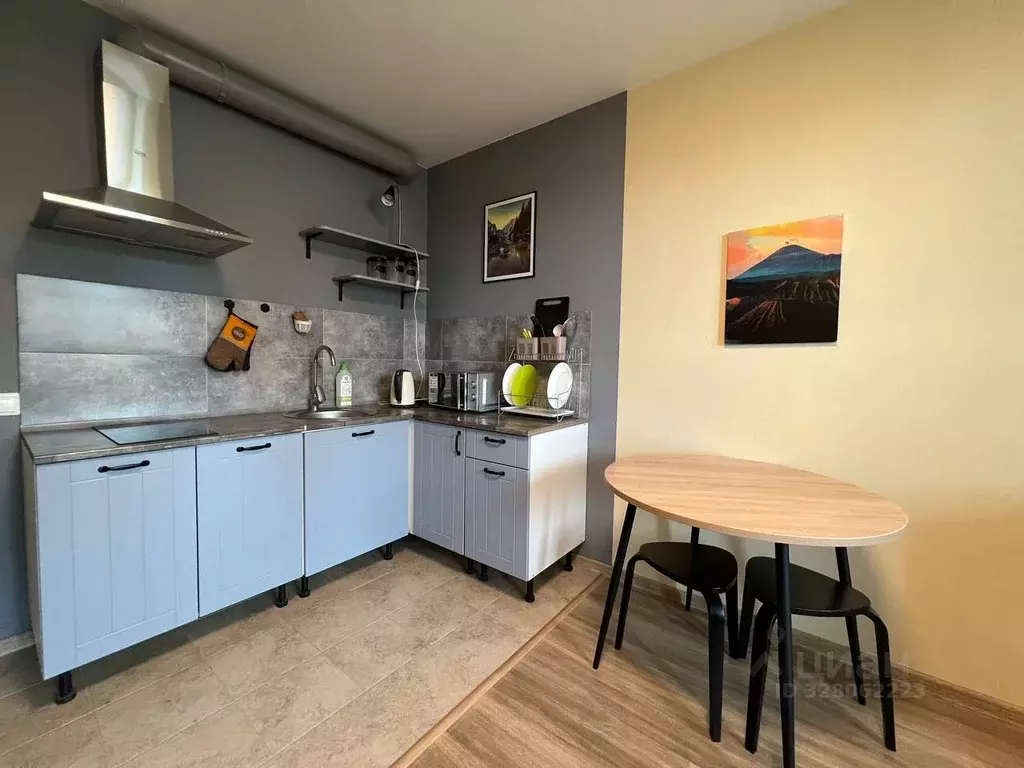 Студия Санкт-Петербург пос. Шушары, просп. Новгородский, 4 (27.2 м) - Фото 1