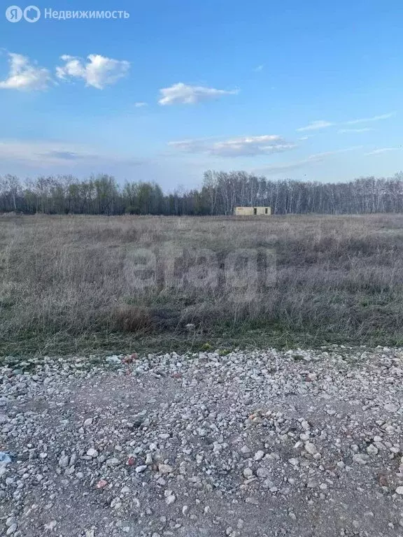 Участок в муниципальный округ Омский район, село Усть-Заостровка (14 ... - Фото 2