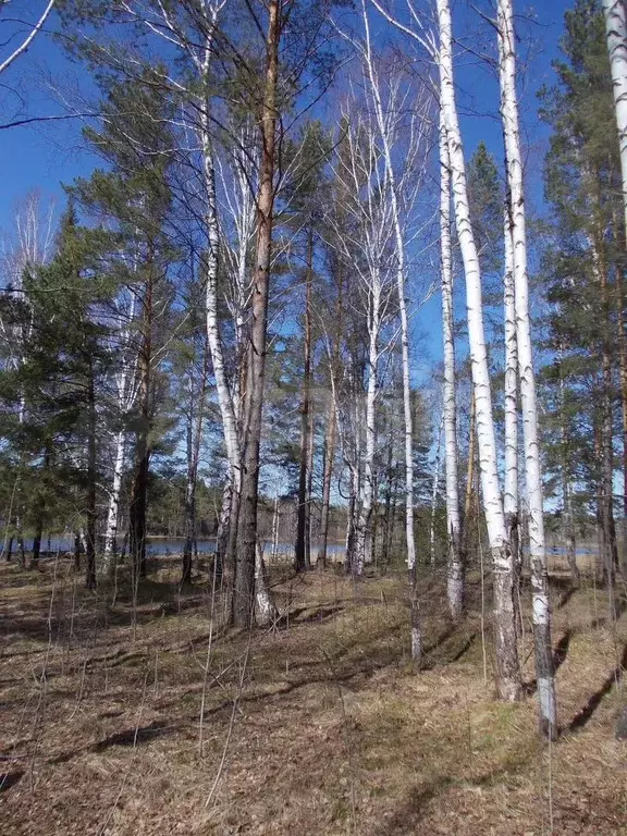 Участок 20,2 сот. (ИЖС) - Фото 0