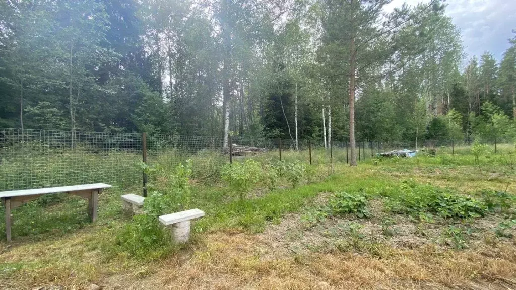Участок в Ленинградская область, Кировский район, Мгинское городское ... - Фото 1