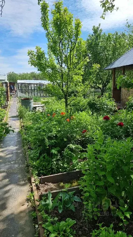 Дом в Нижегородская область, Нижний Новгород Красный Кожевник СНТ, 93 ... - Фото 1