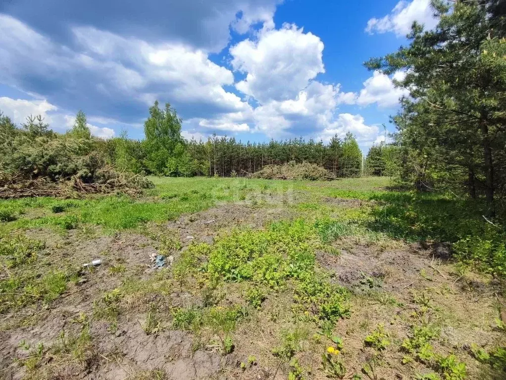 Купить Дом В Забугорье Верхнехавского Района