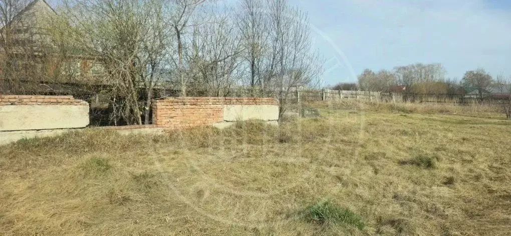 Участок в Новосибирская область, Ордынский район, с. Новопичугово ... - Фото 2