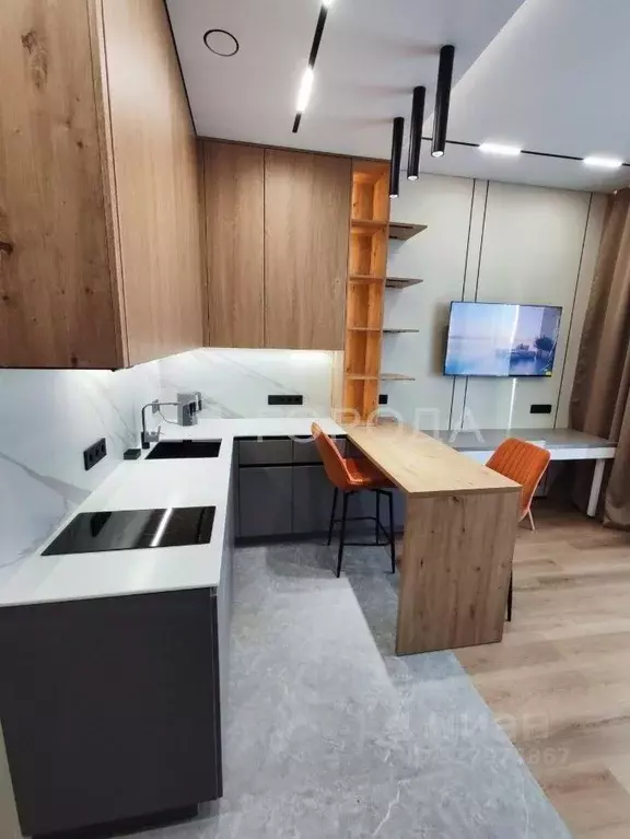 Студия Новосибирская область, Новосибирск ул. Семьи Шамшиных, 91 (26.0 ... - Фото 2