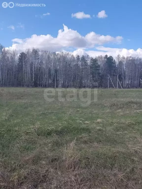 Участок в Тюменский район, деревня Криводанова, Почтовая улица (9 м) - Фото 0