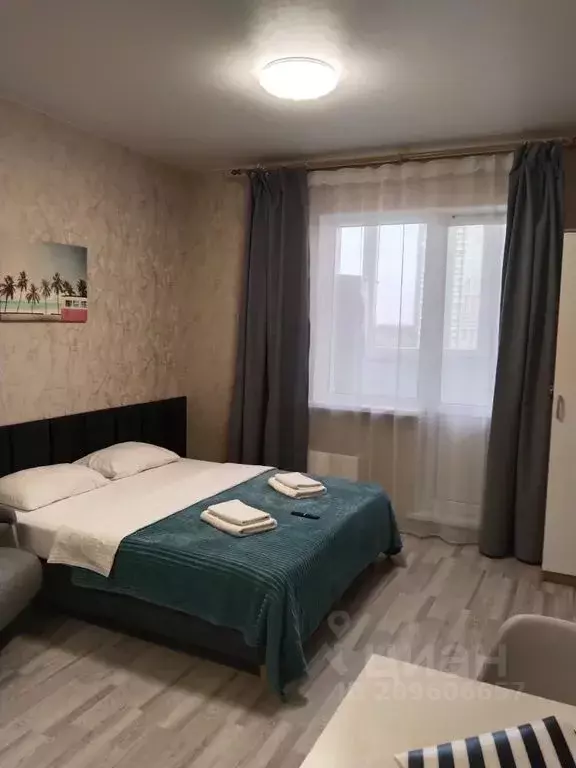 Студия Московская область, Солнечногорск городской округ, Голубое пгт ... - Фото 2