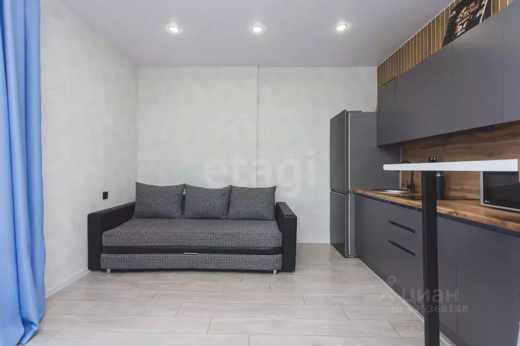 Студия Башкортостан, Уфимский район, с. Михайловка Новоуфимская ул., ... - Фото 1